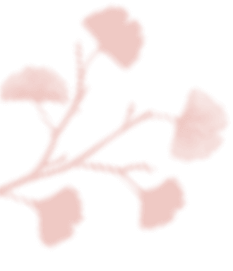 https://www.cletvous.fr/wp-content/uploads/2020/12/floating_image_03.png