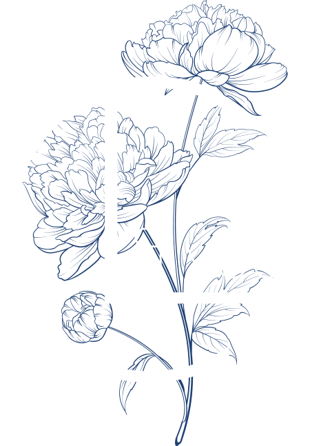 CL&Vous